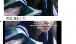 娱乐圈吃瓜小说,幕后风云，瓜田乱舞